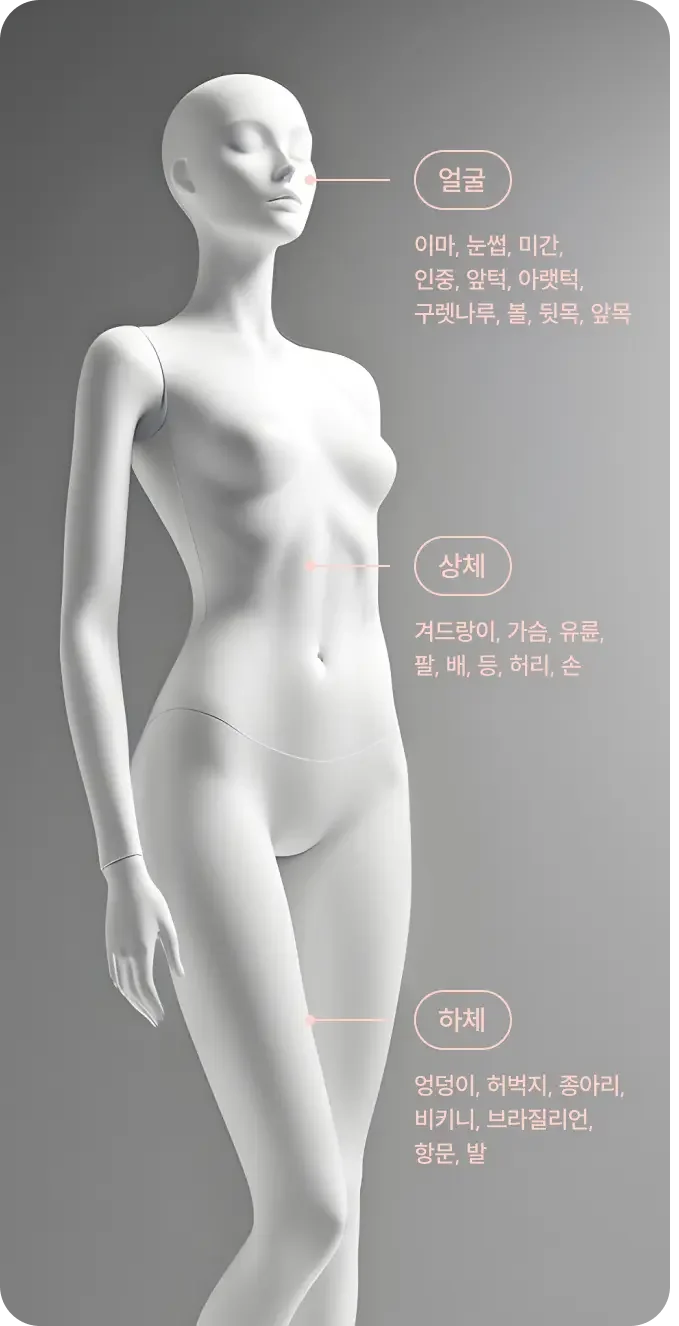시술 부위 설명 사진