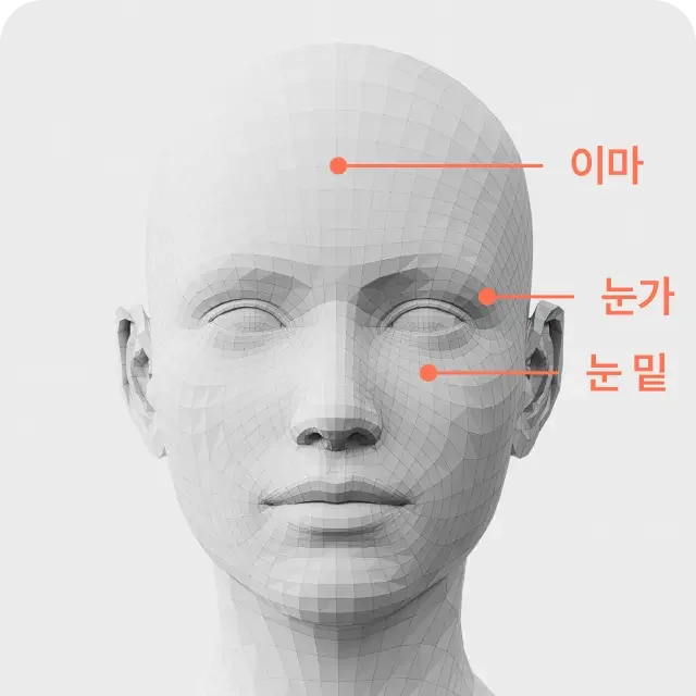 Shurink universe for face