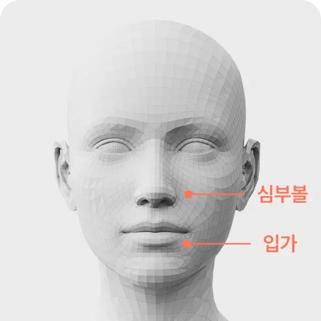 Shurink universe for face
