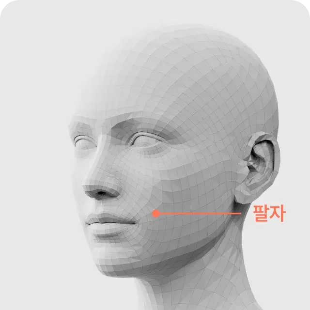 Volume filler lower face 1