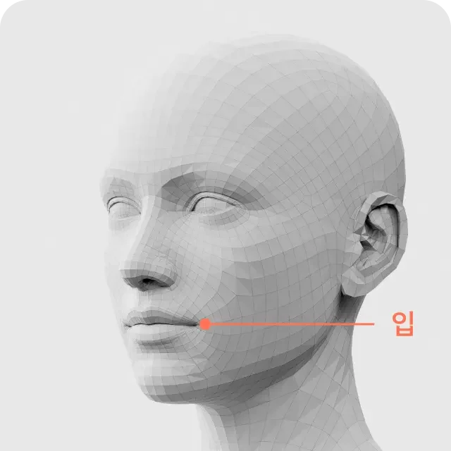 Volume filler lower face 2