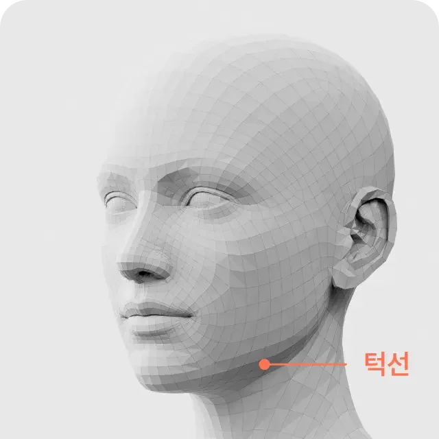 Volume filler lower face 4